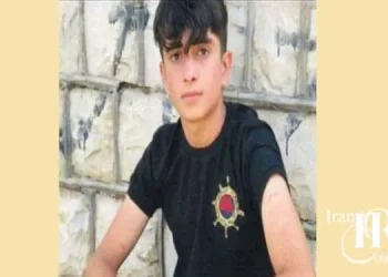 A Colbert child who was chased by border regiment agents seriously injured.