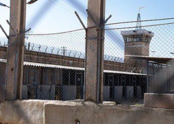 Two executions in Shiraz. one execution in Gohardasht prison.