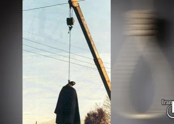 701 executions by the government of Velayat al-Faqih in the last year of 1401 in Iran