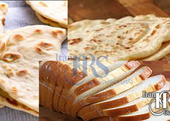 Nightmare of the government from increasing public protests with bread’s price