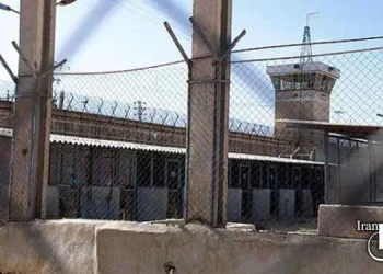 Adel Abad, Shiraz, three prisoners executed