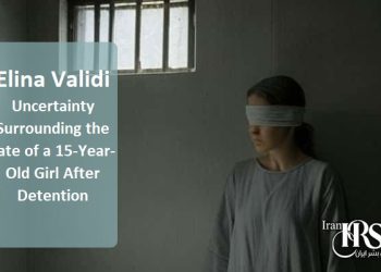 Elina Validi: Uncertainty Surrounding the Fate of a 15-Year-Old Girl After Detention